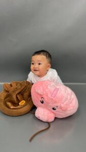 Walimatul Khitan Zayan